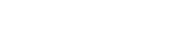 Item 11